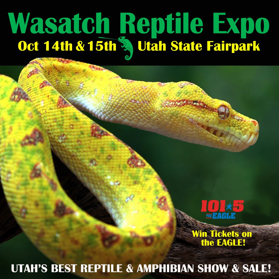 Wasatch Reptile Expo 2023 101.5 Hank FM