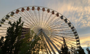Ferris wheel with colorful cabins against a sunset sky, trees in the foreground.