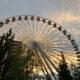 Ferris wheel with colorful cabins against a sunset sky, trees in the foreground.